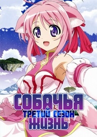 Сезон 3