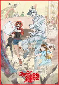 Сериал Клетки за работой!/Hataraku Saibou  2 сезон онлайн